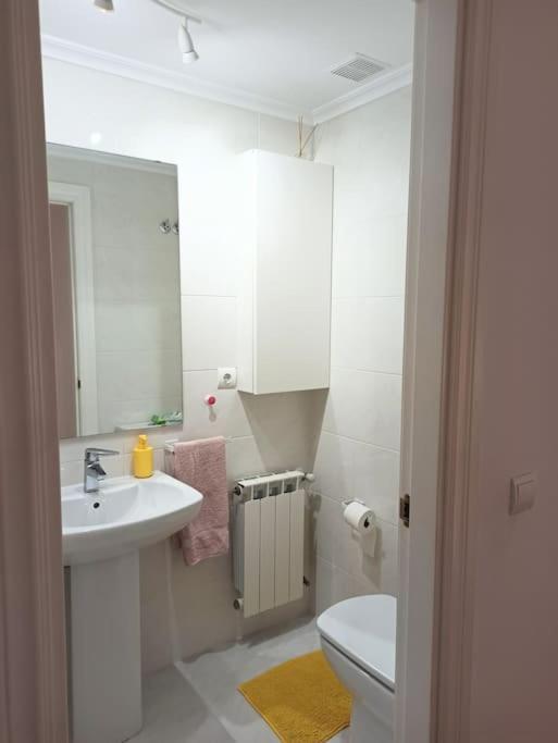 Bajo Con Jardin Privado Appartement Santander Buitenkant foto