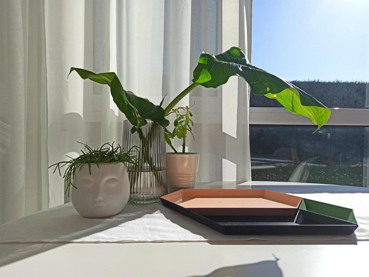 Bajo Con Jardin Privado Appartement Santander Buitenkant foto