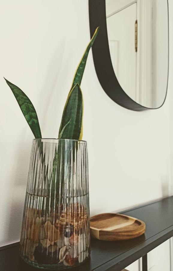 Bajo Con Jardin Privado Appartement Santander Buitenkant foto