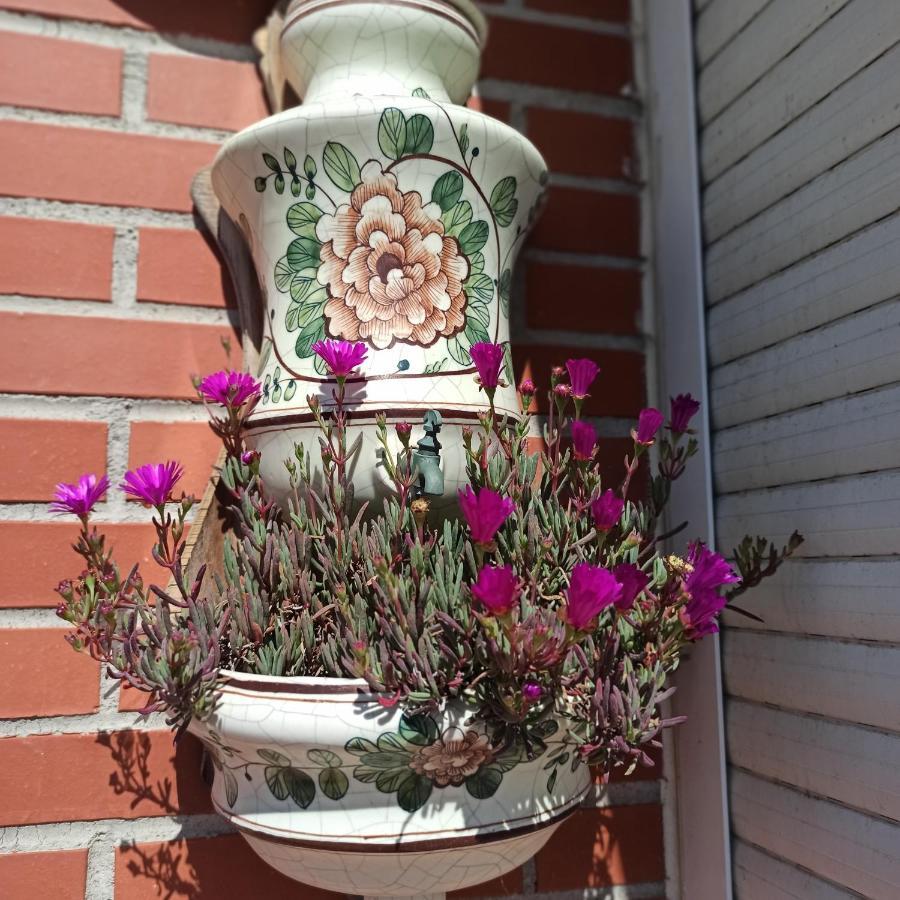 Bajo Con Jardin Privado Appartement Santander Buitenkant foto